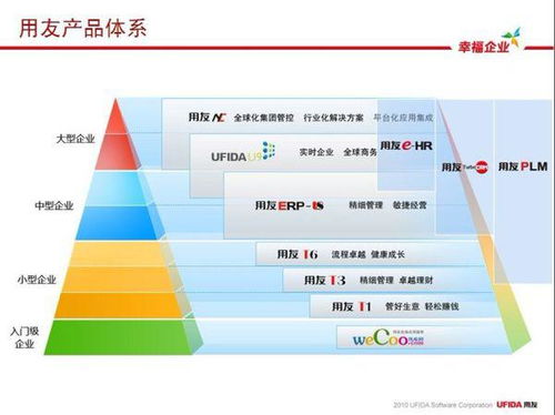 軟件項目管理能力評估 驅動企業軟件開發成功的關鍵